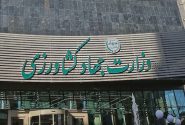 اطلاعیه ستاد تنظیم بازار وزارت جهاد در خصوص واردات کالاهای مجاز