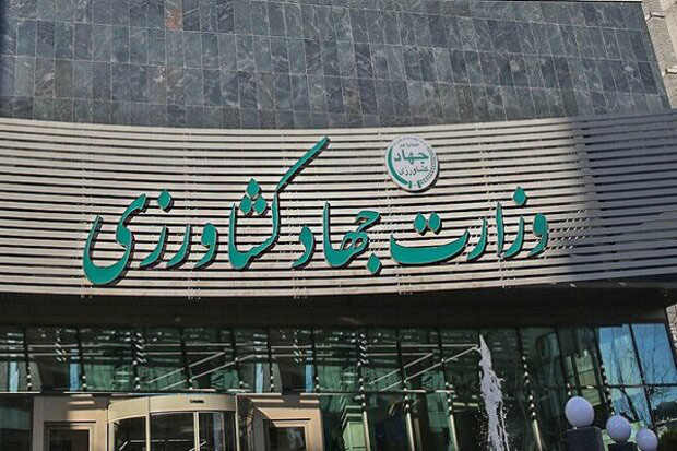 اطلاعیه ستاد تنظیم بازار وزارت جهاد در خصوص واردات کالاهای مجاز