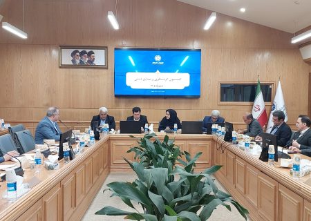 راهکارهای حفظ جریان گردشگری در شرایط محدودیت پروازهای خارجی