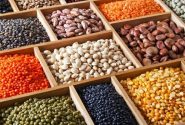 ثبت سفارش واردات انواع حبوبات به زودی آغاز می‌شود