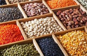 ثبت سفارش واردات انواع حبوبات به زودی آغاز می‌شود