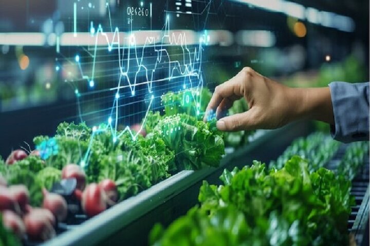 پروتکلهای اضطرار غذایی شورای همکاری خلیجفارس، درسهایی برای کشور