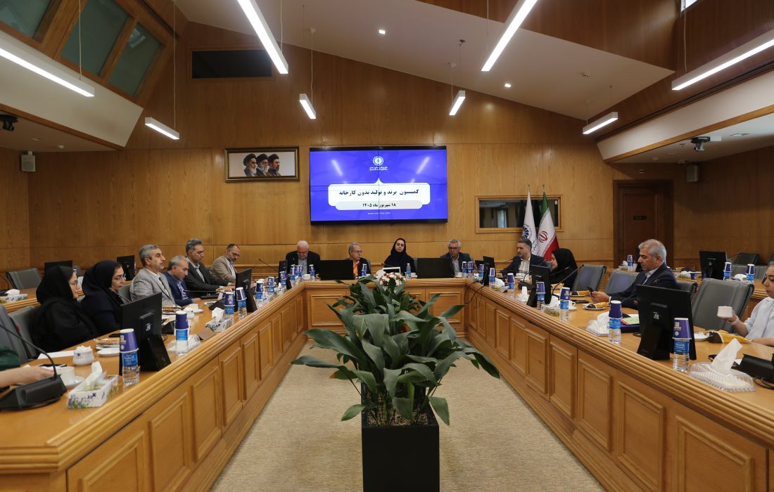 ظرفیتهای تولید بدون کارخانه برای توسعه تولید و هدایت سرمایهها