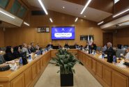 ظرفیت‌های تولید بدون کارخانه برای توسعه تولید و هدایت سرمایه‌ها