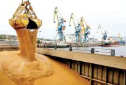 قیمت جهانی مواد غذایی در مسیر صعود قرار گرفت | گندم و نهاده‌ها، پیشتاز گرانی