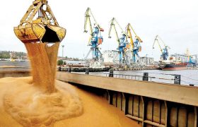 قیمت جهانی مواد غذایی در مسیر صعود قرار گرفت | گندم و نهاده‌ها، پیشتاز گرانی