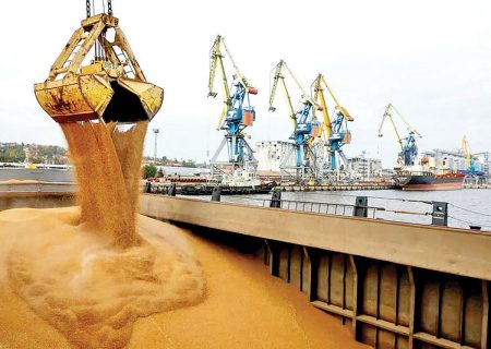 قیمت جهانی مواد غذایی در مسیر صعود قرار گرفت | گندم و نهاده‌ها، پیشتاز گرانی