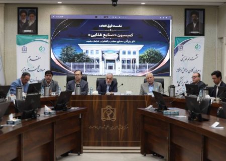 تاکید فعالان صنایع غذایی بر هدایت مشاغل خانگی به سمت تولید کارگاهی