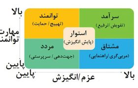 پروفایل عملکردی کارکنان در ماتریس مهارت ـ‌ اراده