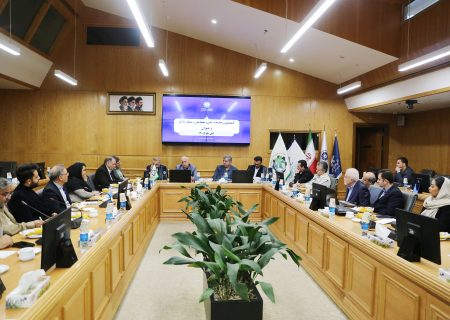 بحران مسکن با فروش متری و ابزارهای مالی حل نمی‌شود