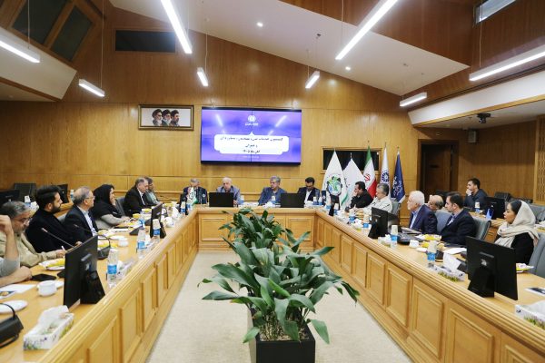 بحران مسکن با فروش متری و ابزارهای مالی حل نمی‌شود