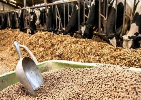 مکمل‌های حمایتی اصلاح ارزی